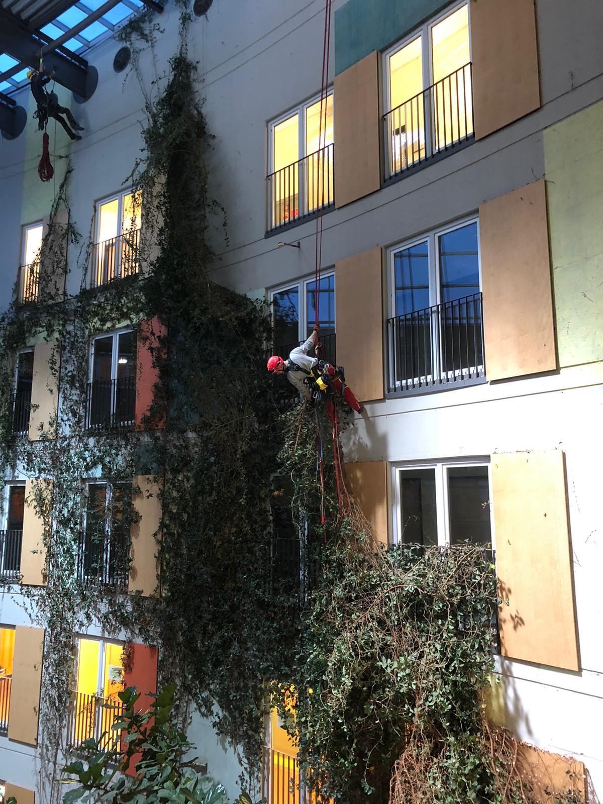 Taubenabwehr Montage an einem historischen Gebäude in Frankfurt Sachsenhausen